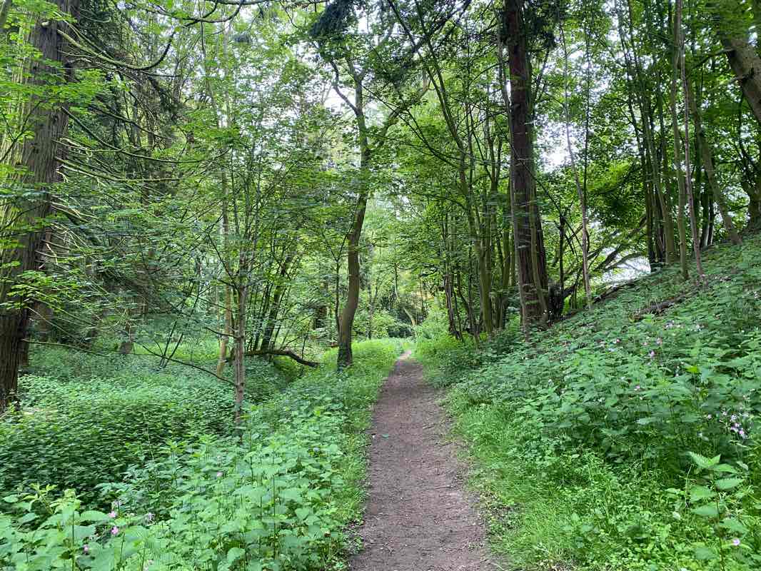 walking near me in Hubbards Hills in winter