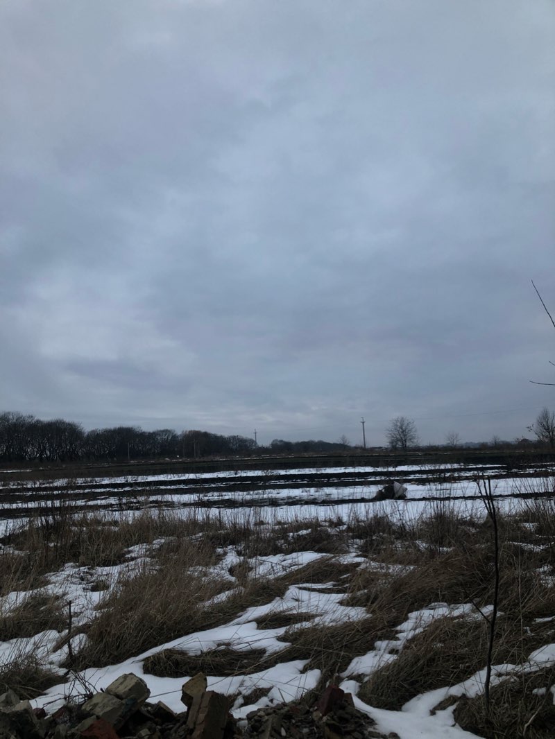 walking near me in Гідропарк in winter