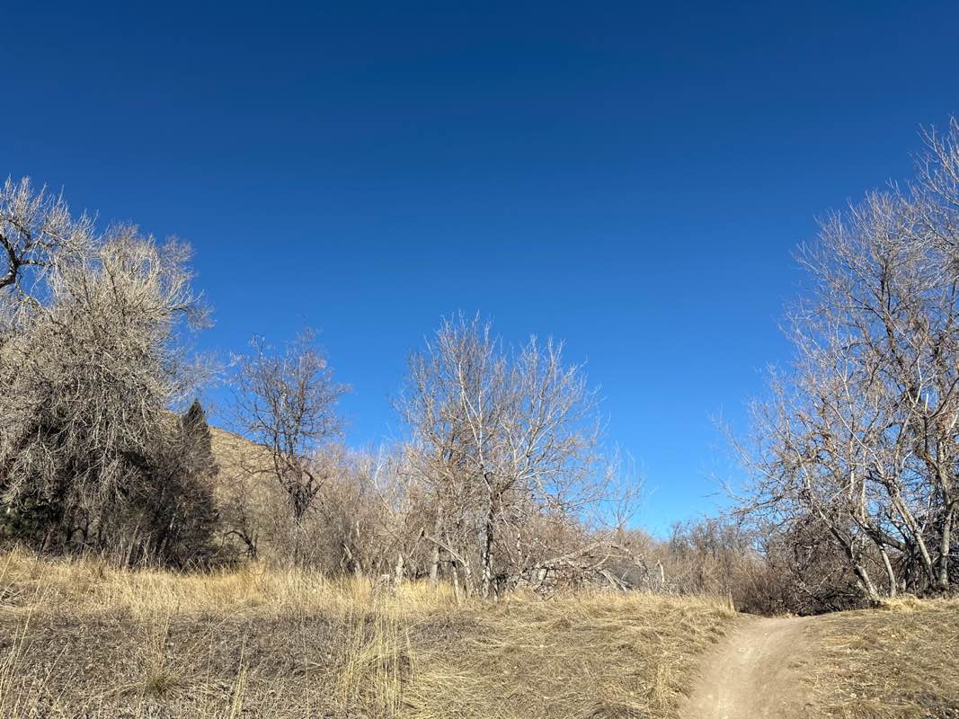 walking near me in Tony Grampas Memorial Sports Complex in winter