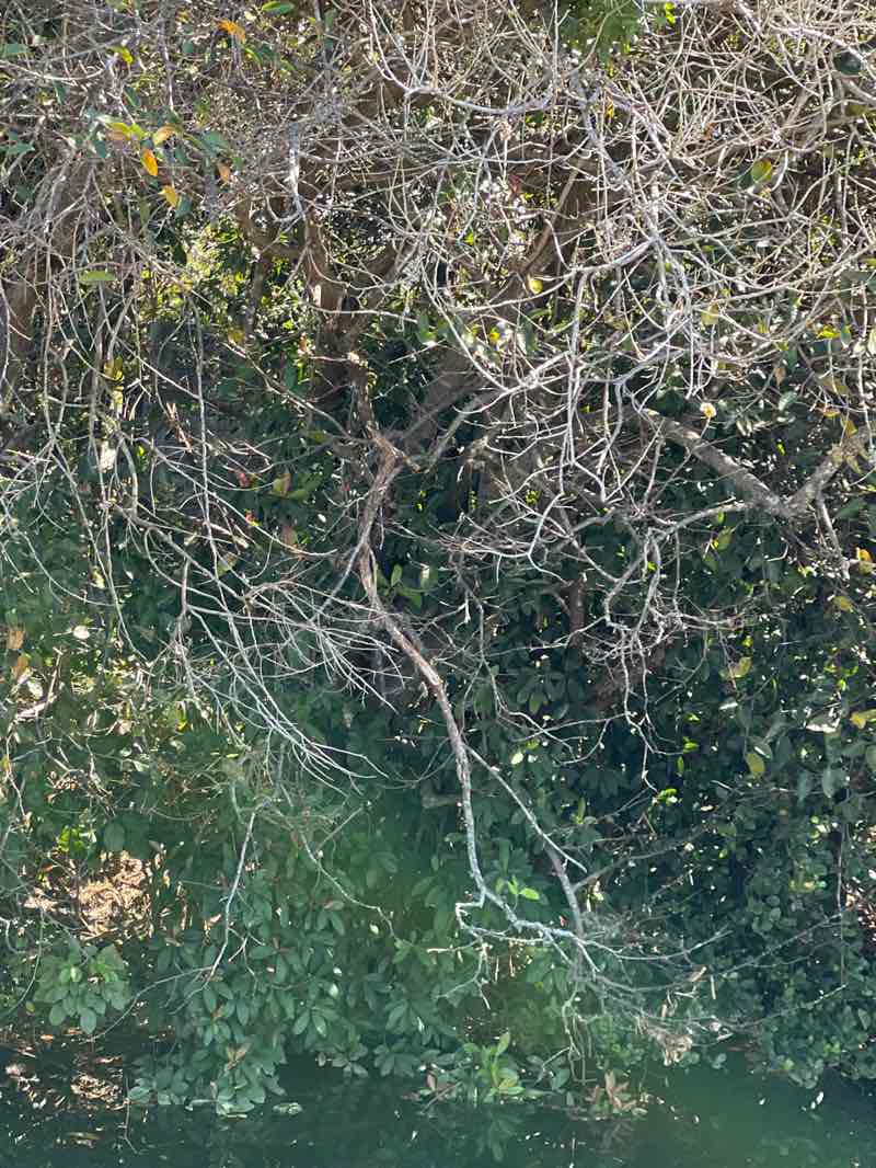 walking near me in Wolf Lake Park in winter
