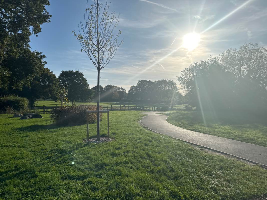 walking near me in Stubbings Land in autumn