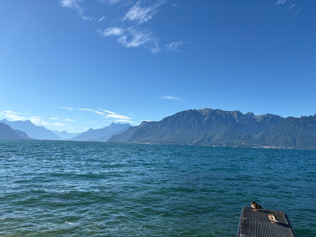 walking near me in Jardin Roussy in autumn