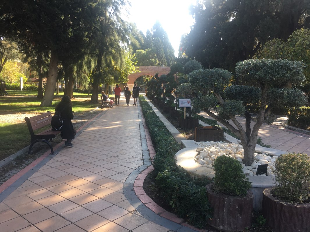 walking near me in Büyük Park in winter