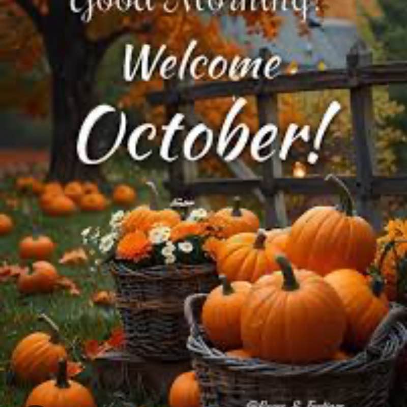 The Blissful Walkers Mike 🇺🇸 post image