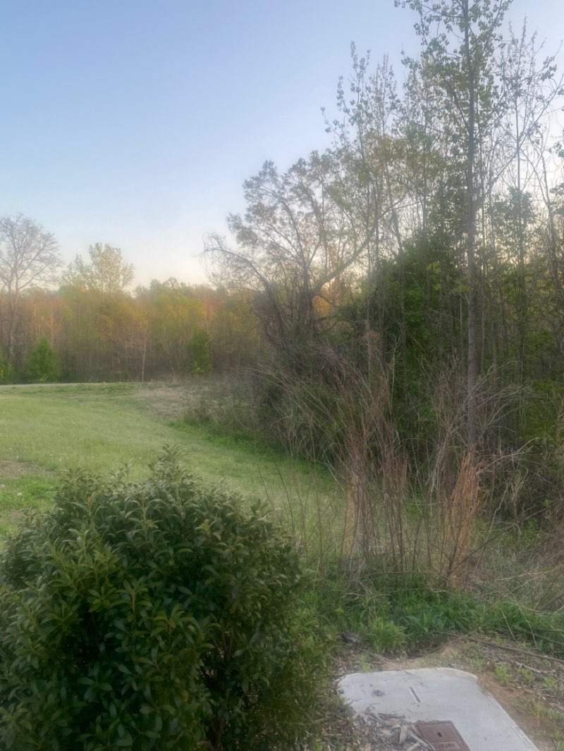 walking near me in McDowell Creek Greenway Trailhead in spring