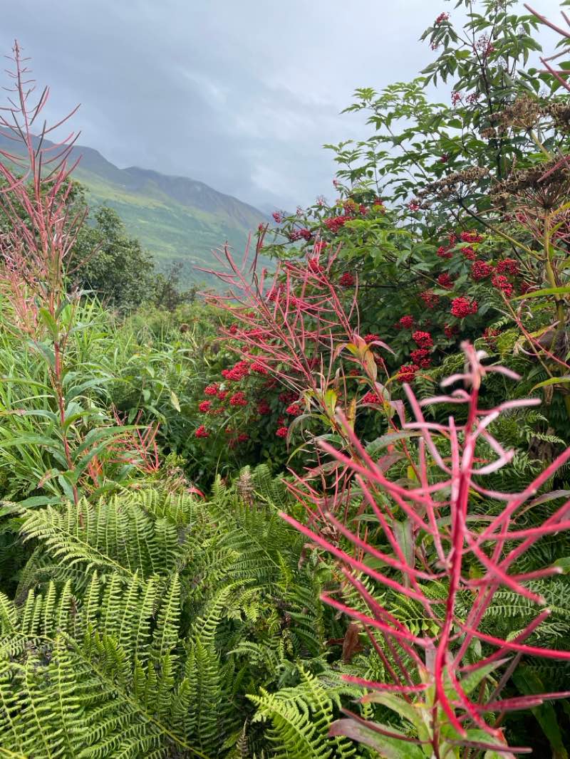 walking near me in Dock Point in winter
