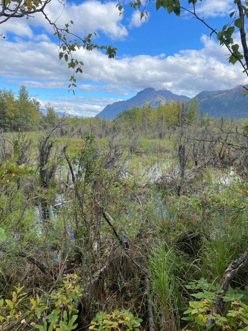 walking near me in Alcantra Recreation Facility in winter