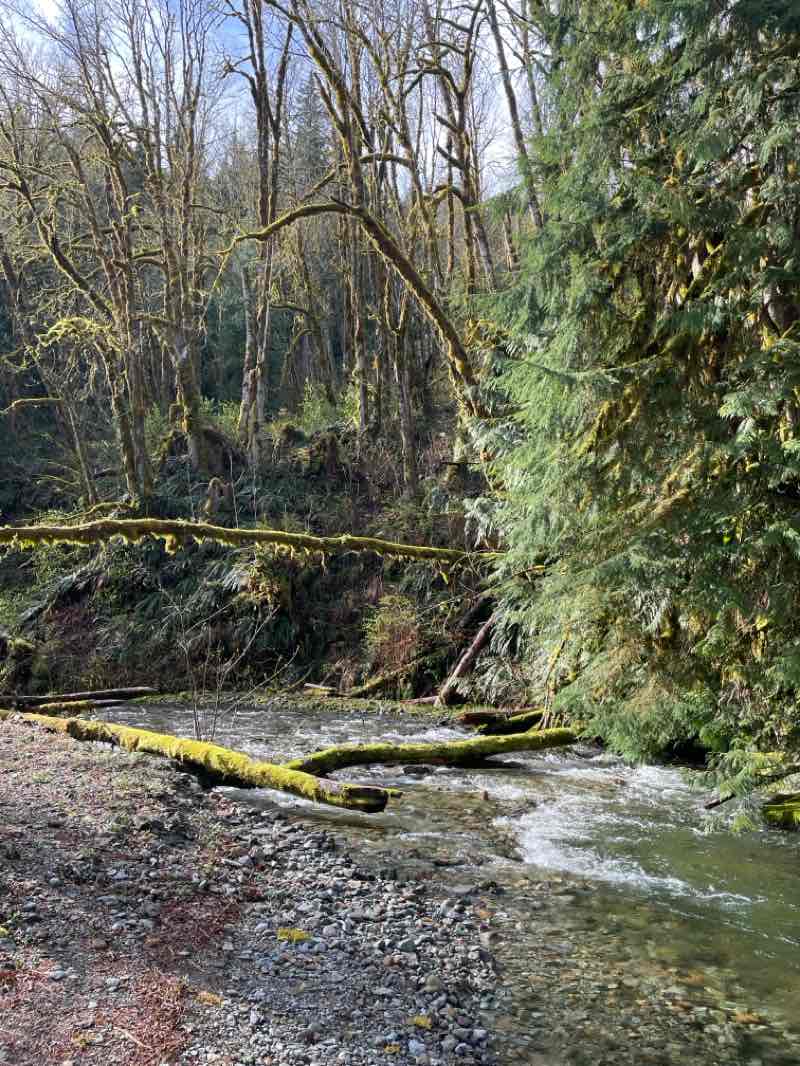 walking near me in Great Northern & Cascade Railway Park in spring
