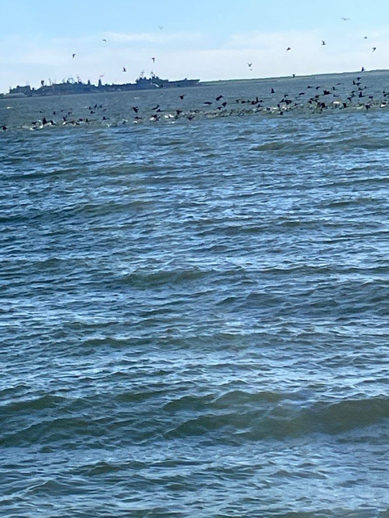 walking near me in Fort Monroe National Monument in winter