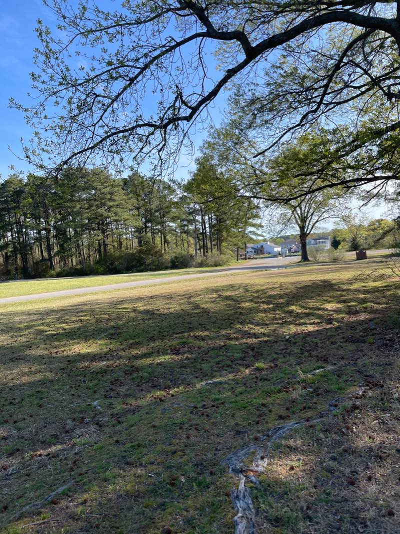 walking near me in Gosnolds Hope Park in winter