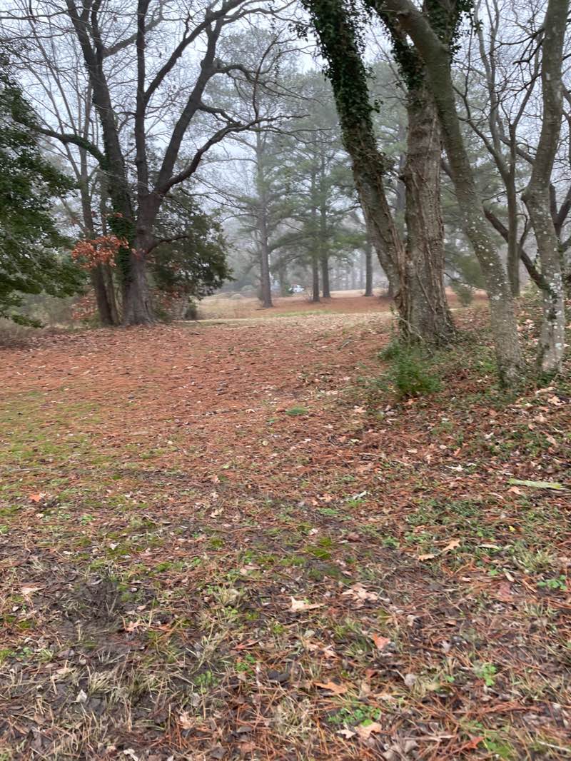 walking near me in Gosnolds Hope Park in winter