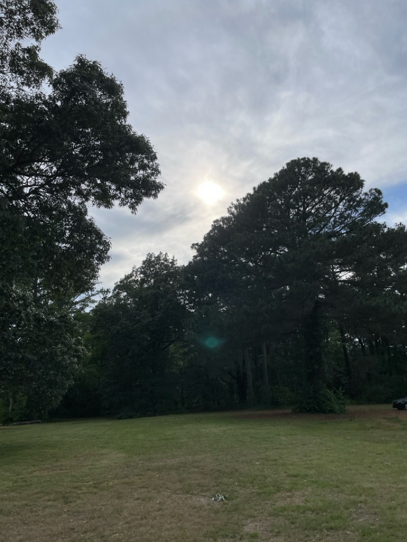 walking near me in Gosnolds Hope Park in spring