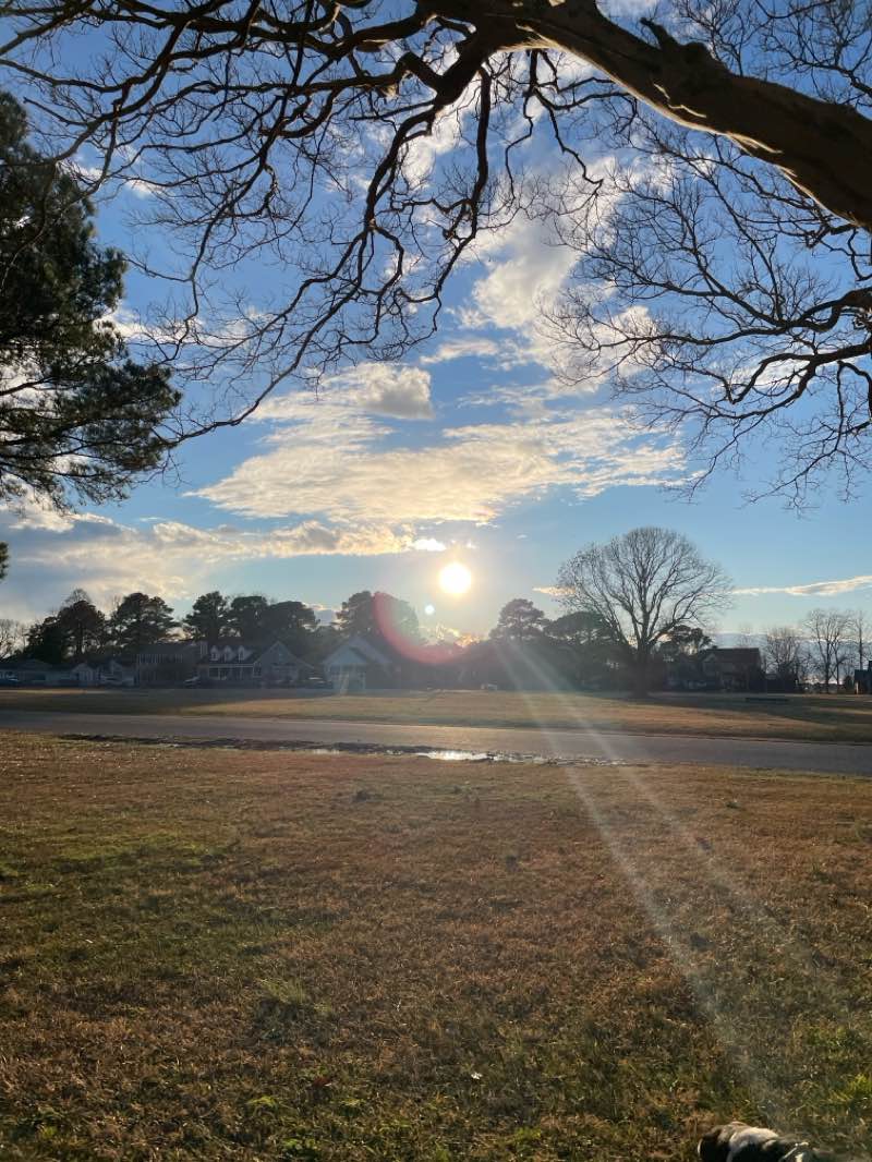 walking near me in Gosnolds Hope Park in winter