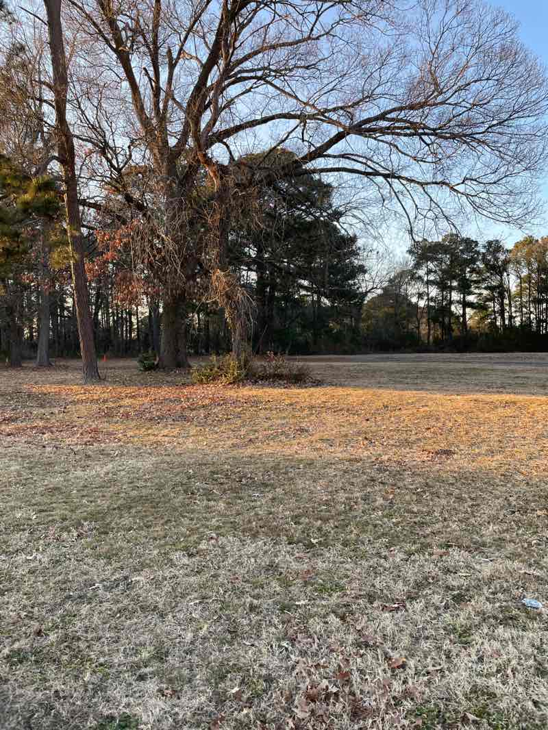 walking near me in Gosnolds Hope Park in winter