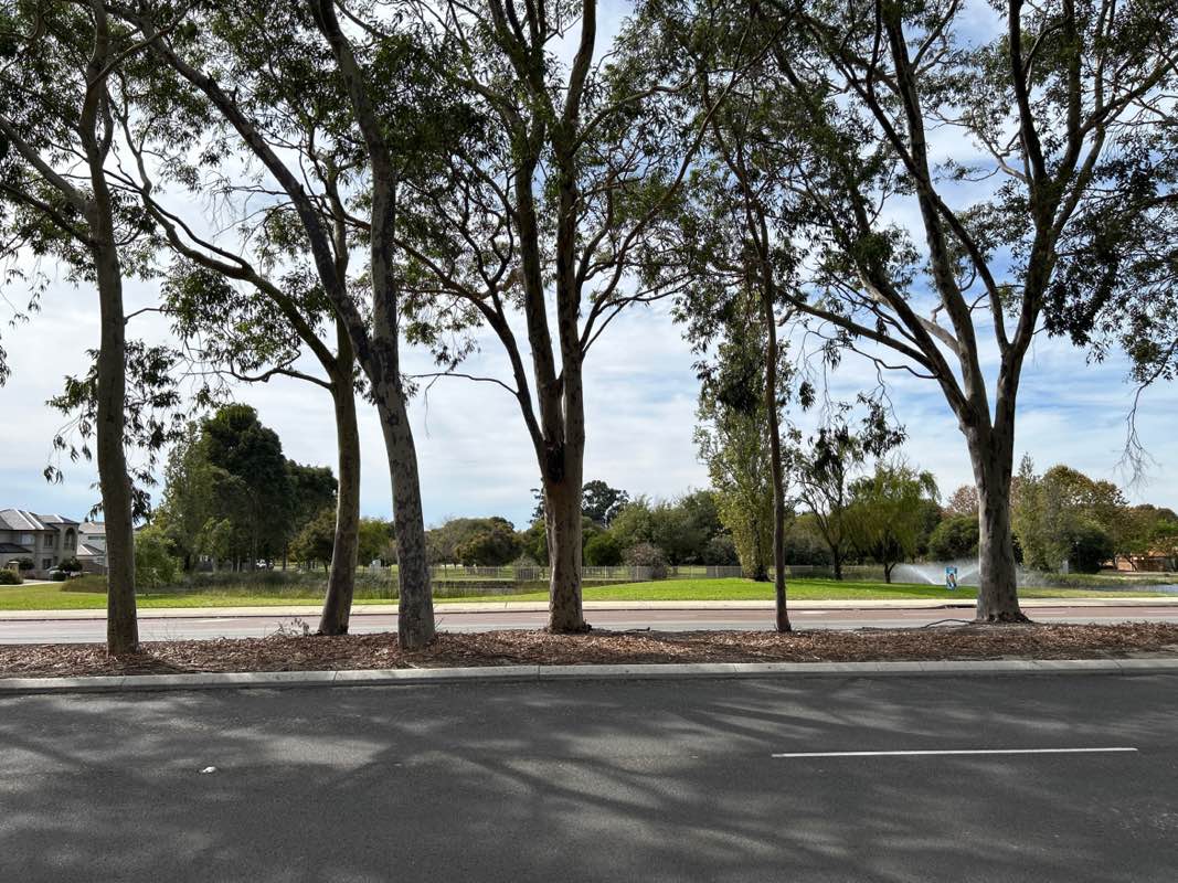 walking near me in Karri Park in autumn