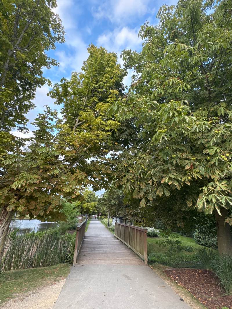 walking near me in Stadtpark in autumn