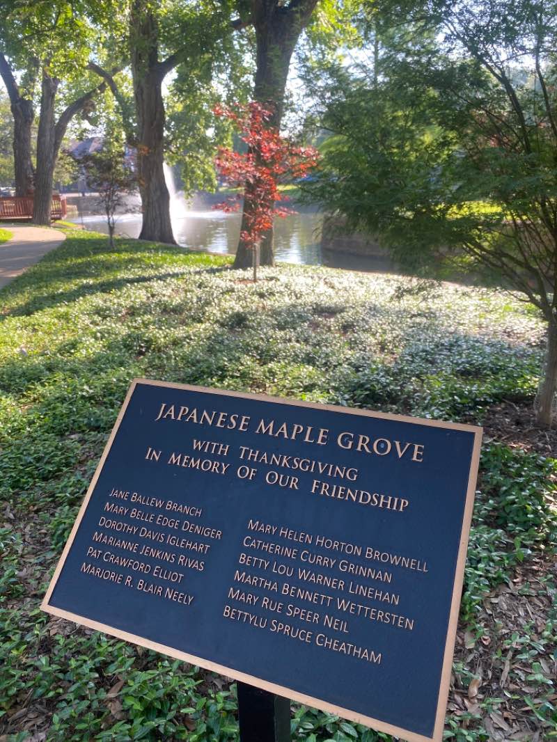 walking near me in Williams Park in winter