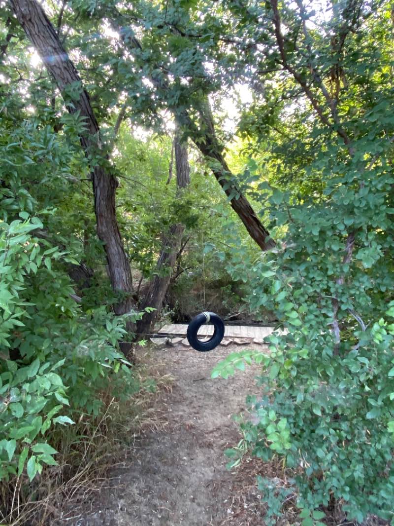 walking near me in Branch Hollow Park in winter