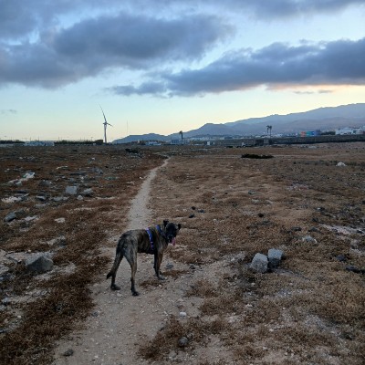 Caminar para sanar 🇪🇦 🫶🫶💪💪 Nedriel post image