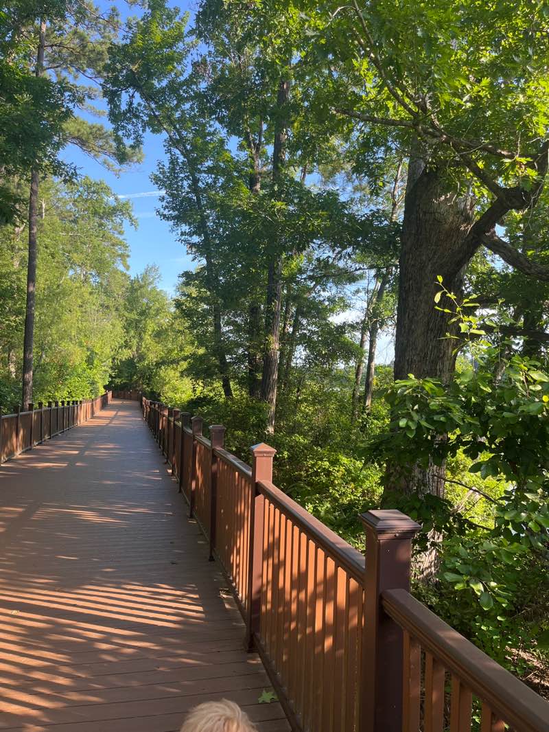 walking near me in Bringle Lake Park in summer