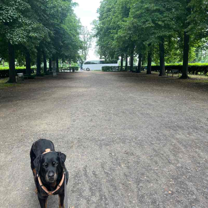 Estelle post 1