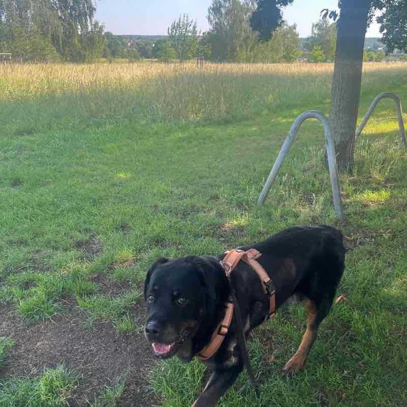 Estelle post 1