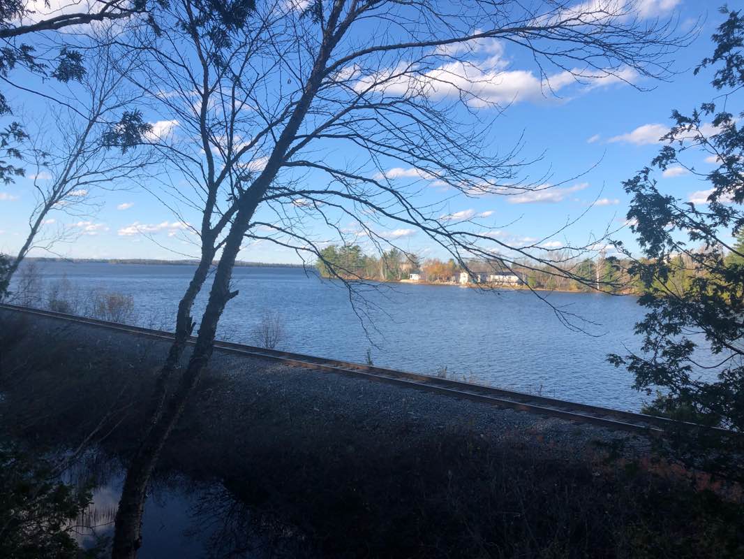 walking near me in Taylor Field in winter