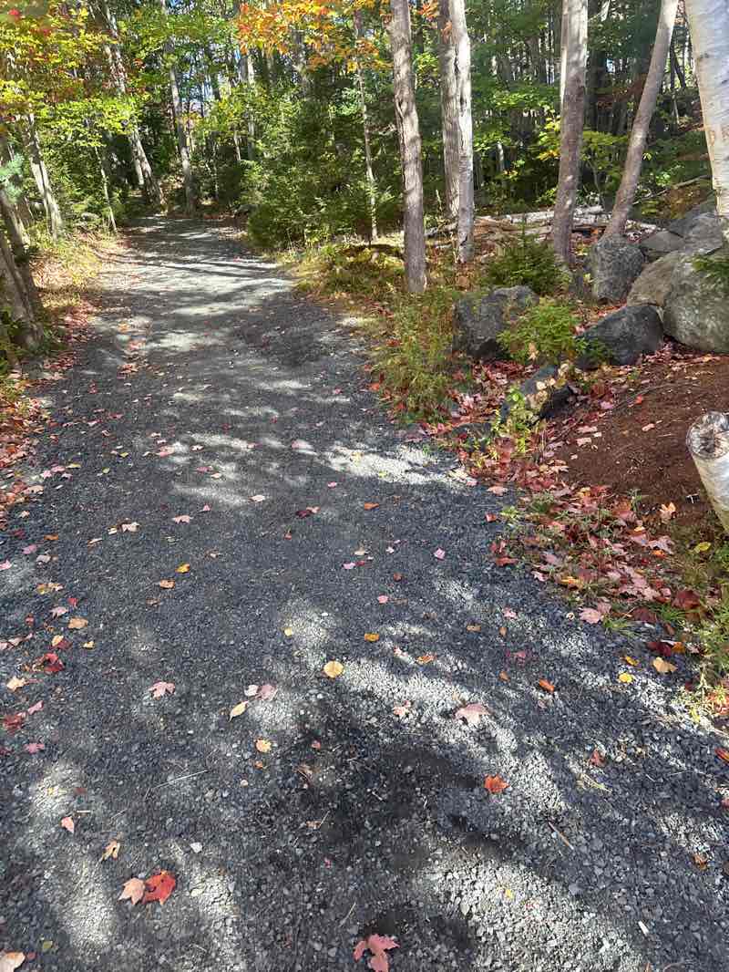 walking near me in Abbington Avenue Community Park in autumn