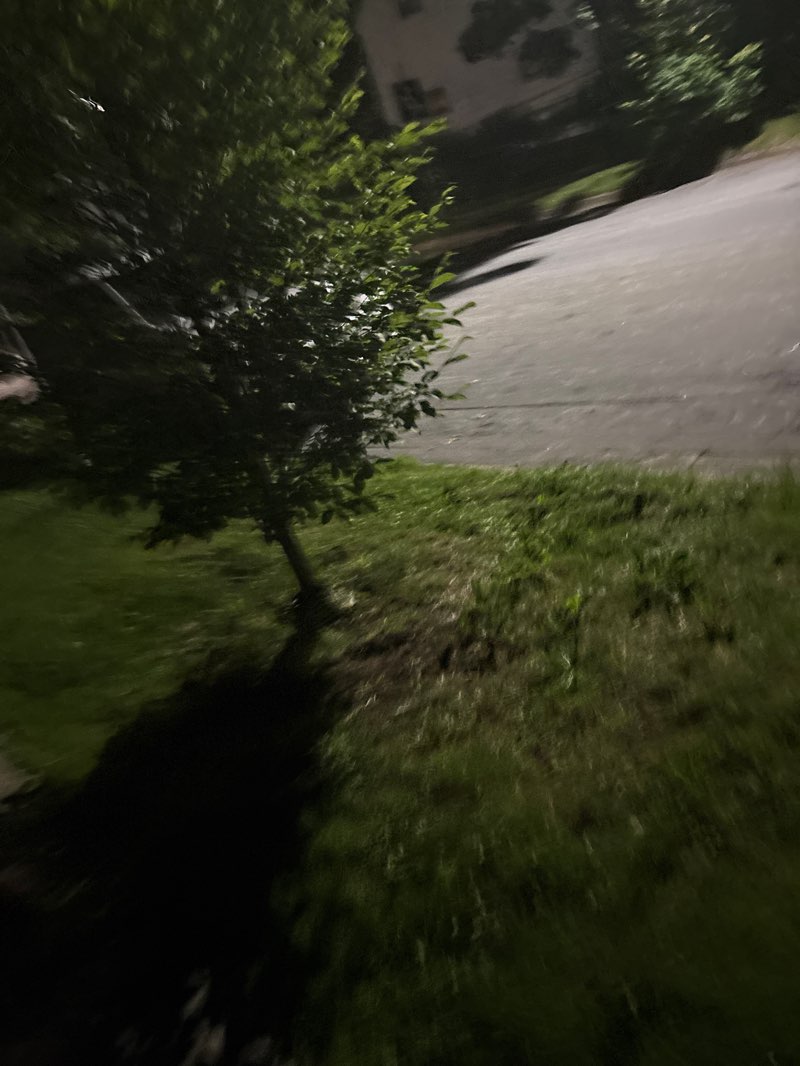 walking near me in St. Stephen's Elementary School Park in summer
