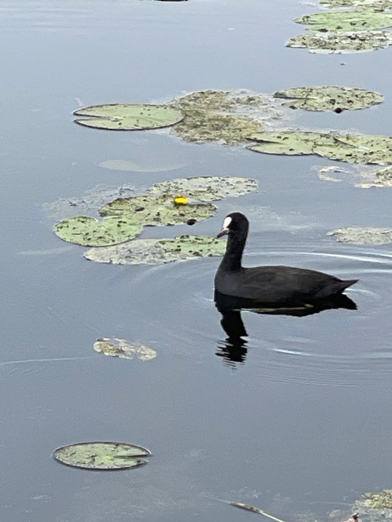 walking near me in Parc Agricole in winter