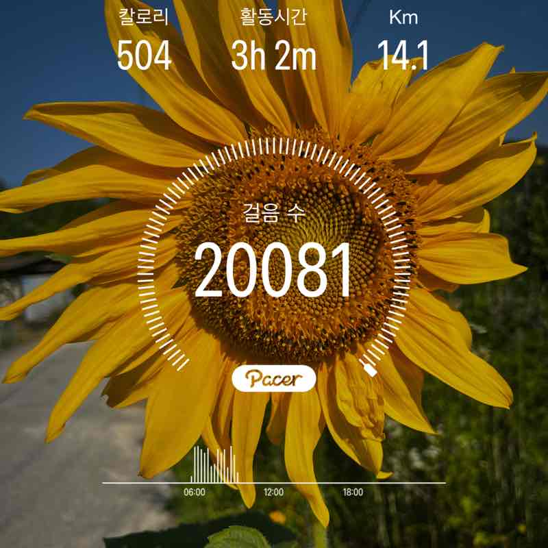 문수정 post 1