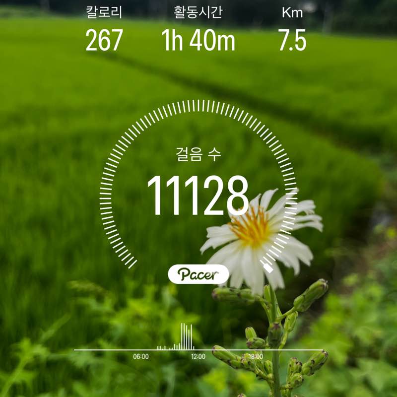 문수정 post 1