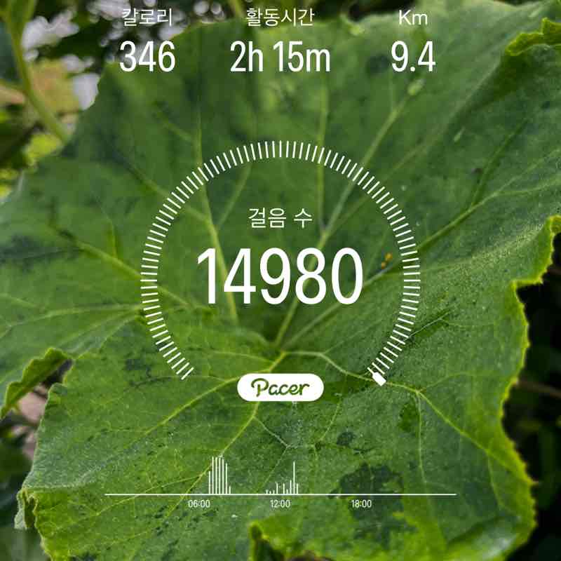 문수정 post 1
