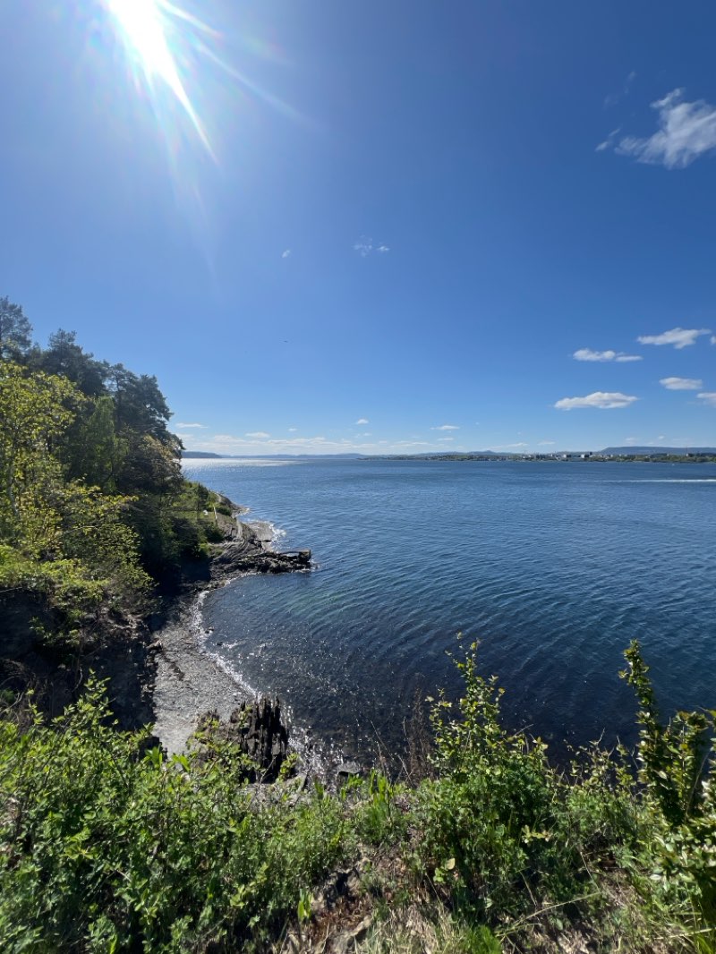 walking near me in Maritimparken in spring