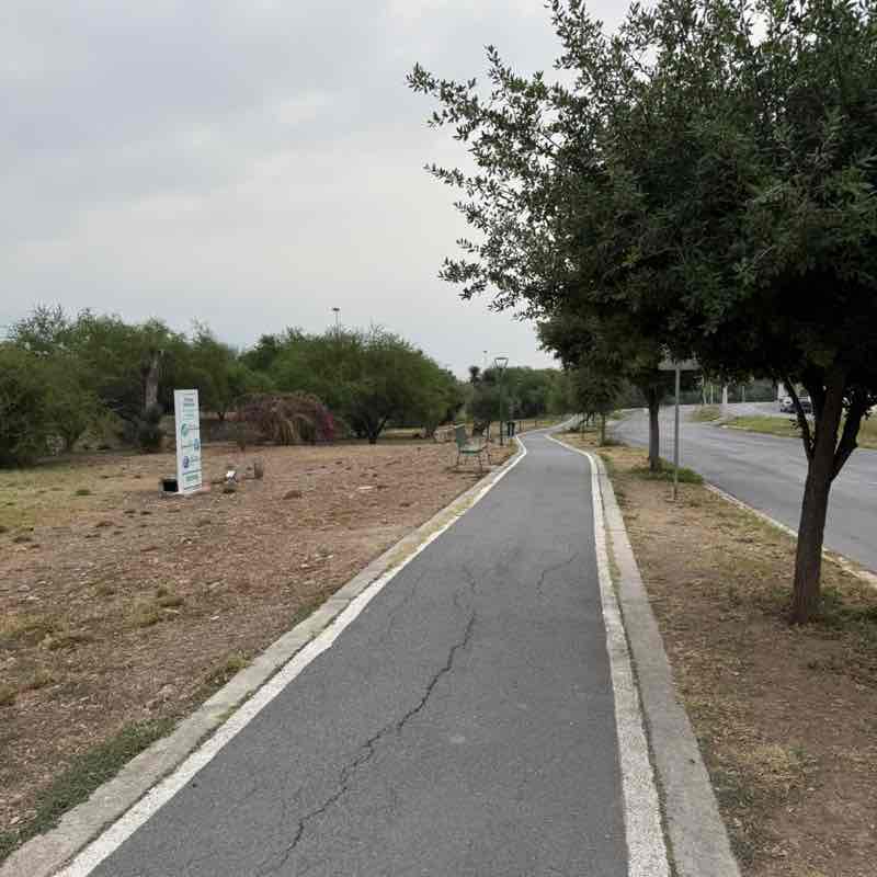 HEB Internal Audit Fer Martinez post image