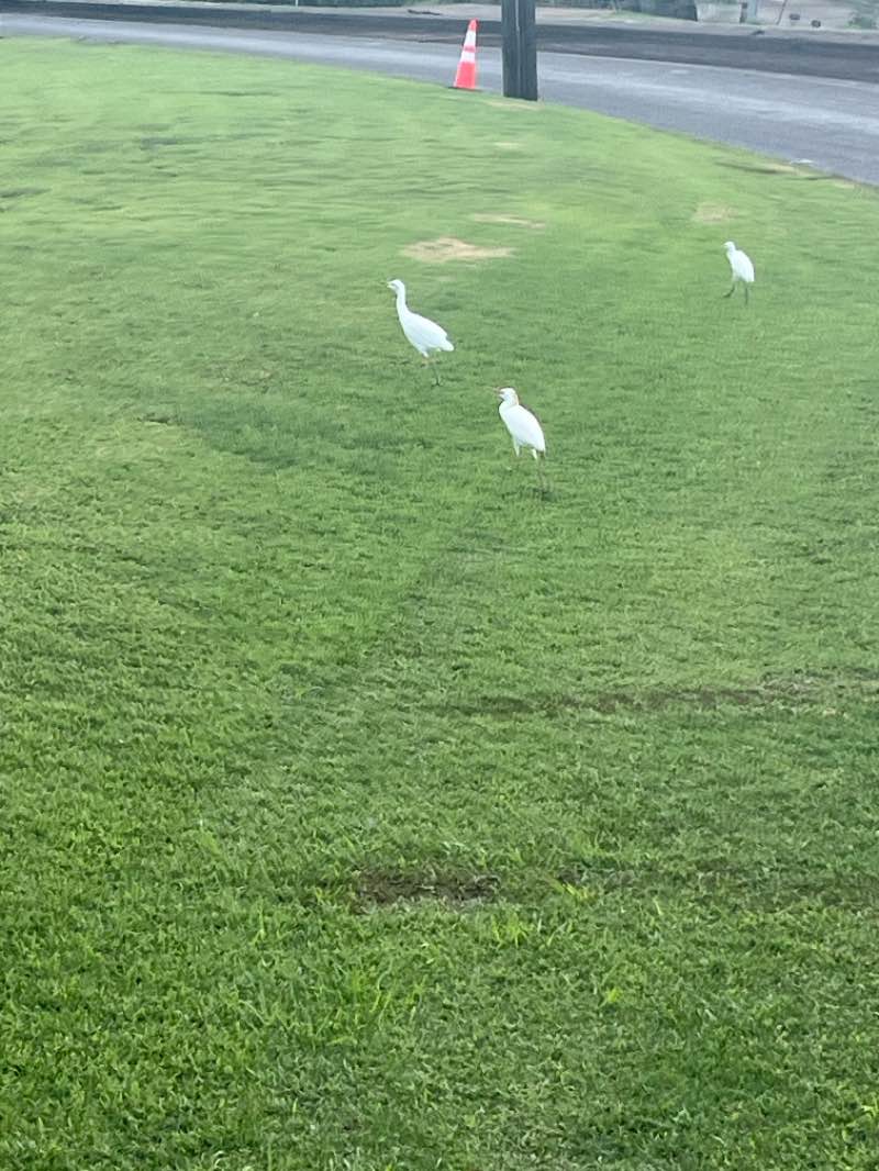 walking near me in Wailua Homesteads Park in autumn