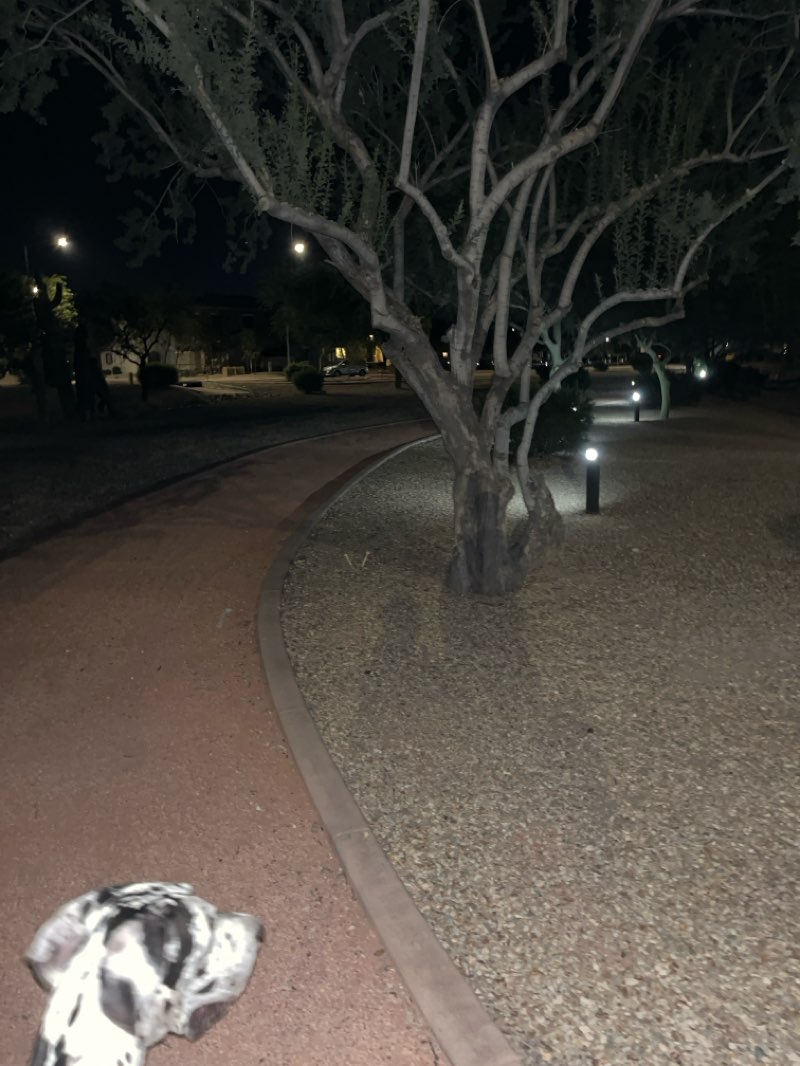 walking near me in Carlota Park in autumn