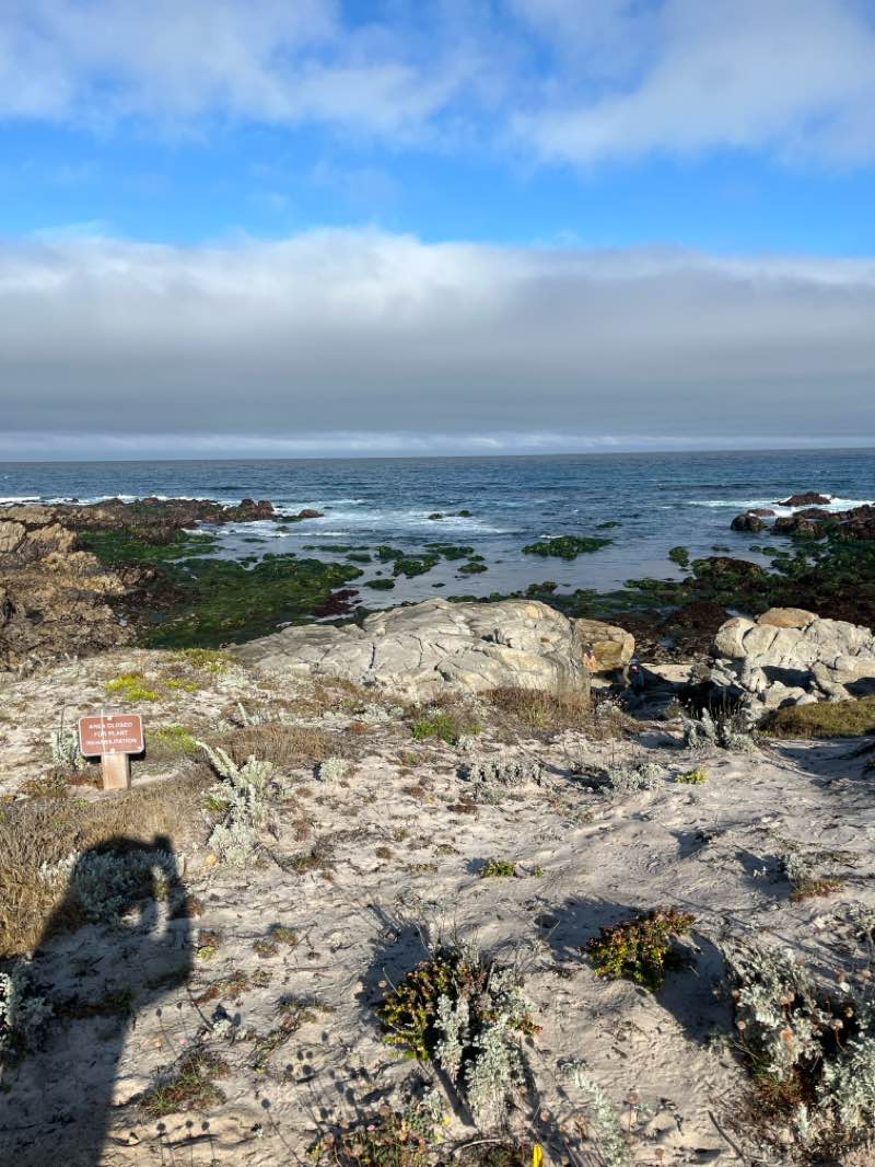 walking near me in Point Piños Lighthouse Reservation in spring