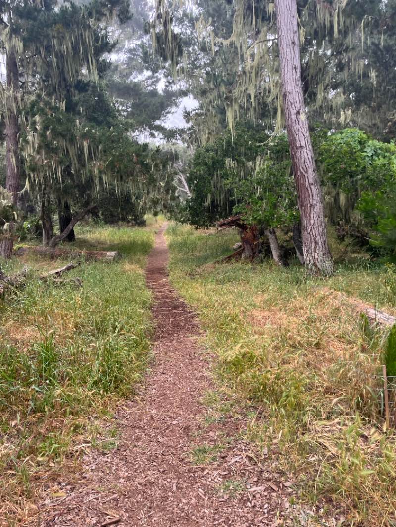 walking near me in Pacific Grove Marine Gardens State Marine Conservation Area in spring