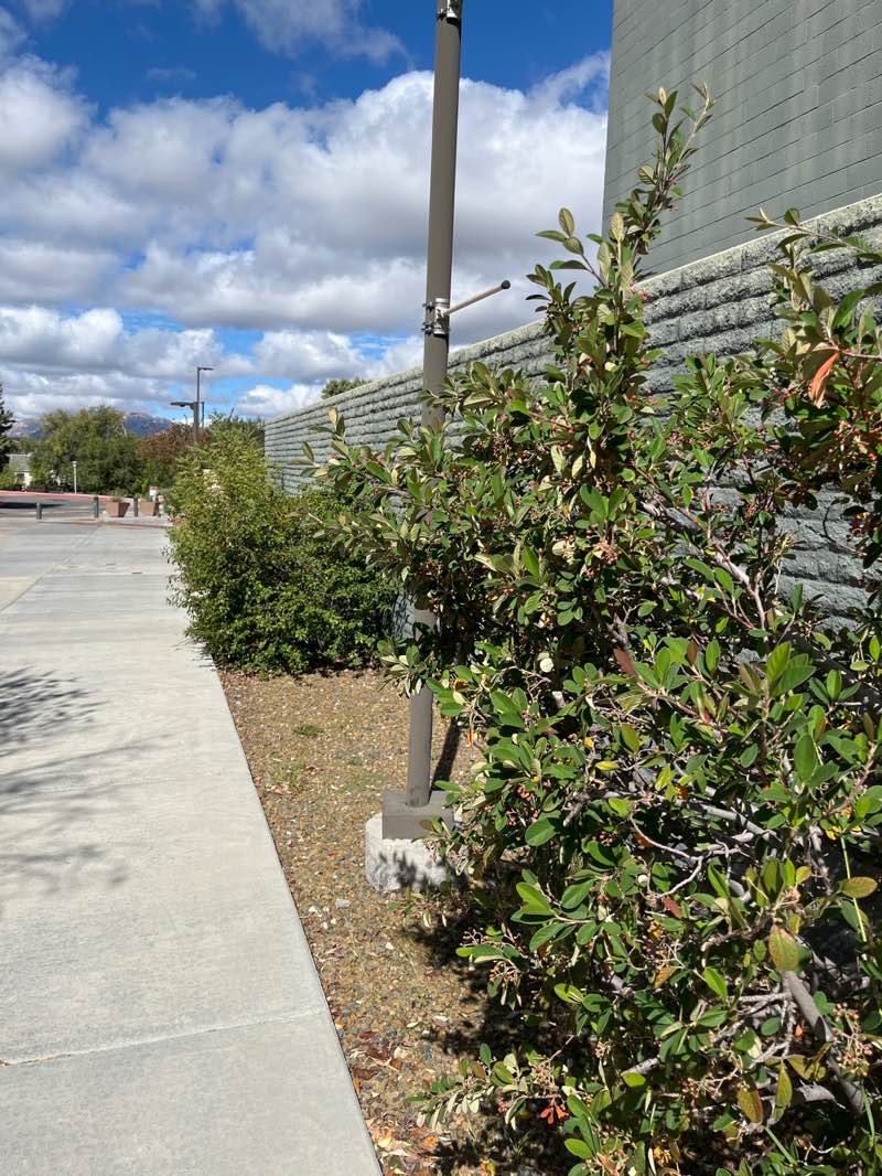 walking near me in Whipple Park in autumn