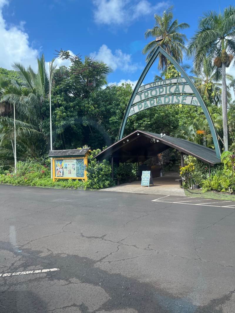 walking near me in Smith's Tropical Paradise in autumn
