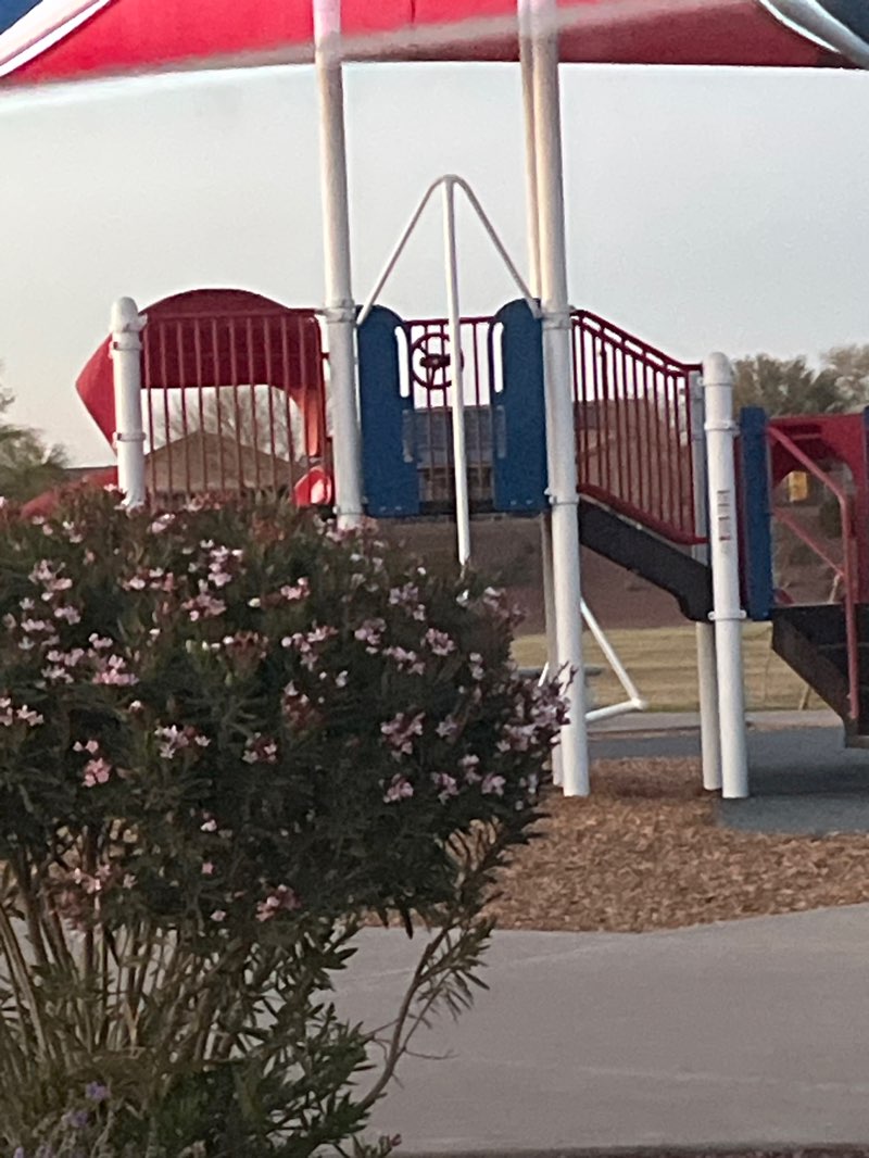 walking near me in Ted Williams Park in spring