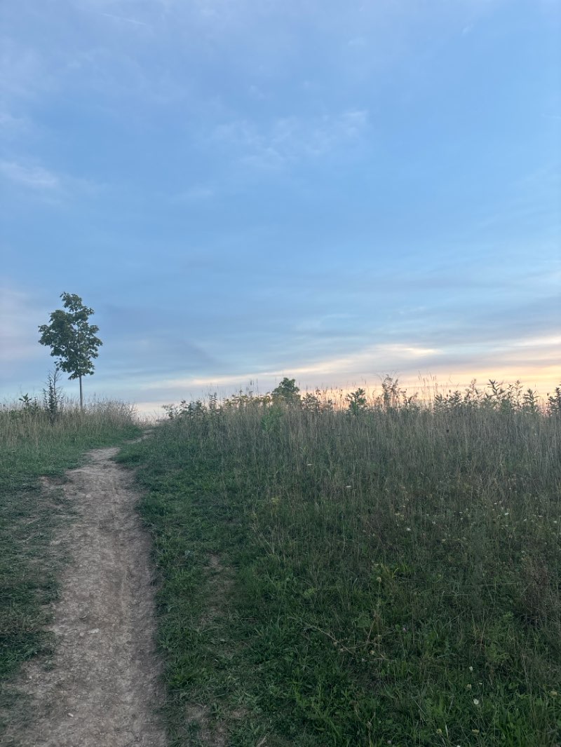 walking near me in Ranney Park in autumn