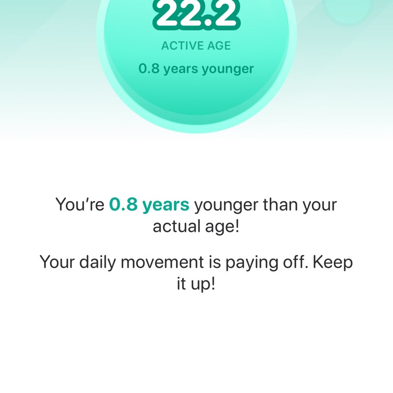 الثيران الهائجة Hussain post image