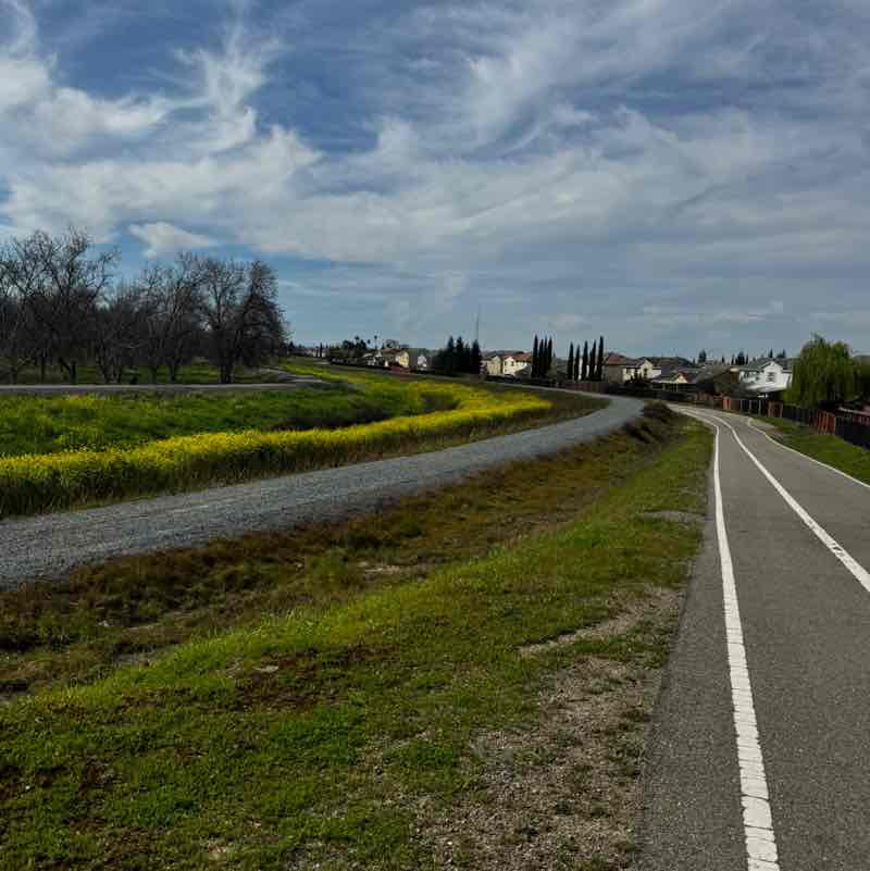 The BG’s Monica post image