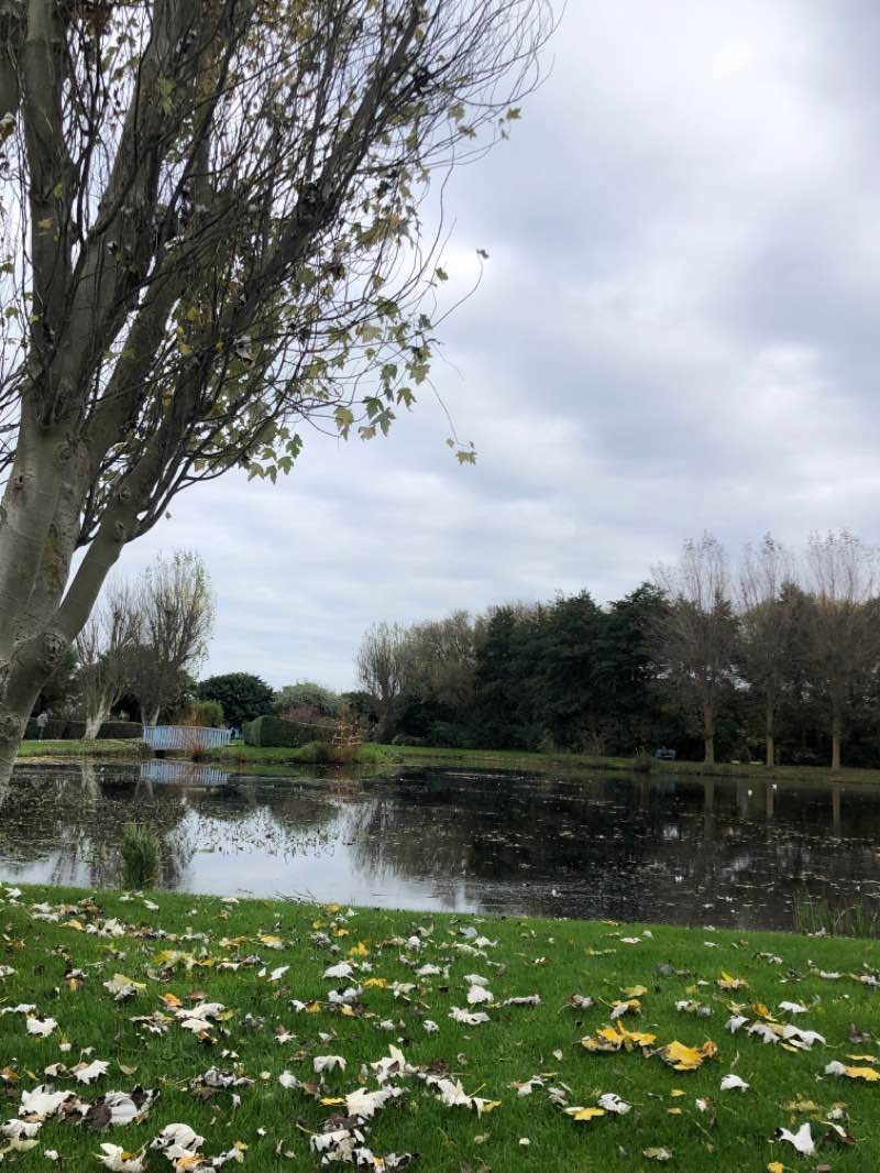 walking near me in Jardin des Personnalités in winter