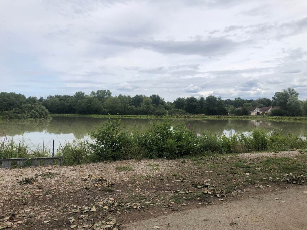 walking near me in Parc du Château d'Arlay in autumn