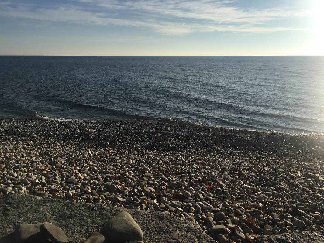 walking near me in Shipyard Park in winter