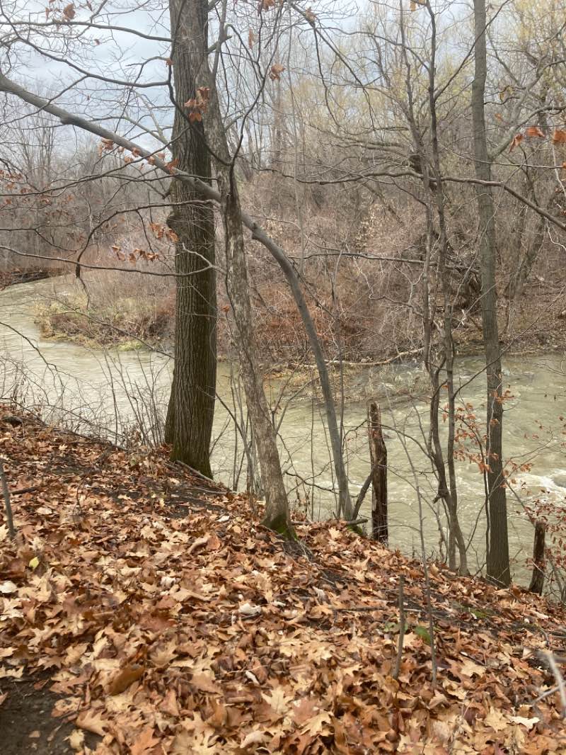walking near me in Parc du Centenaire in winter