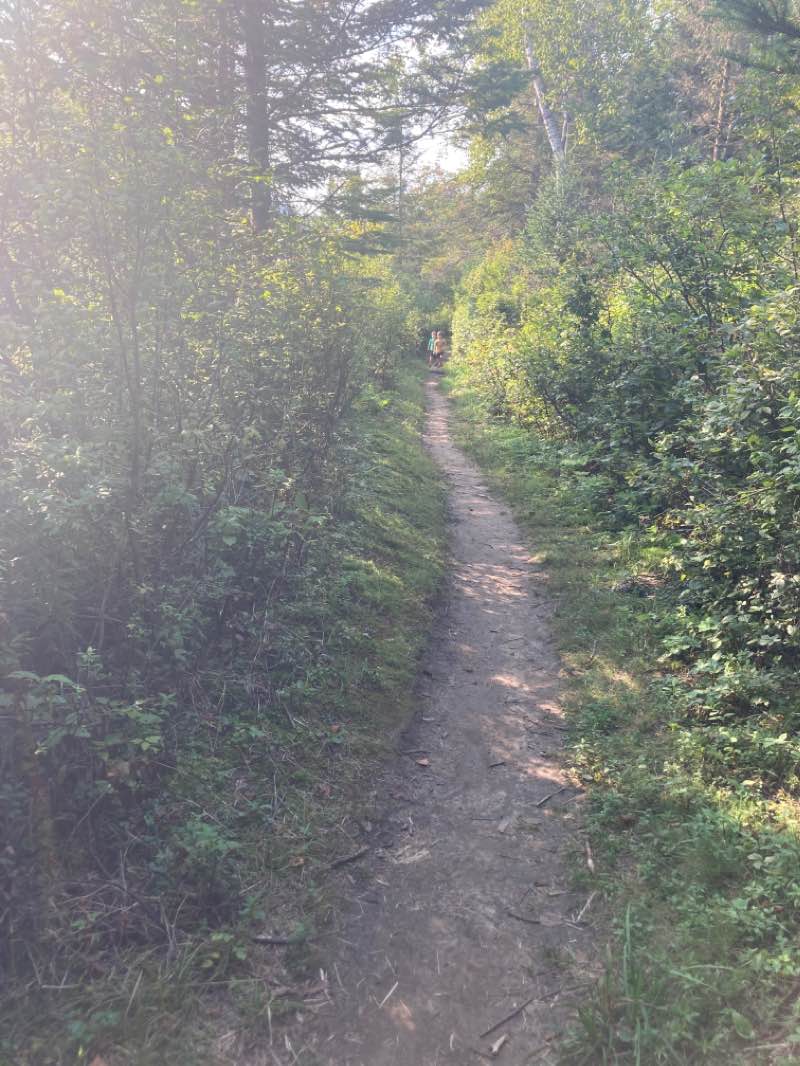walking near me in Parc régional de la Forêt Ouareau in winter